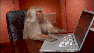 post-41634-1463164550.gif