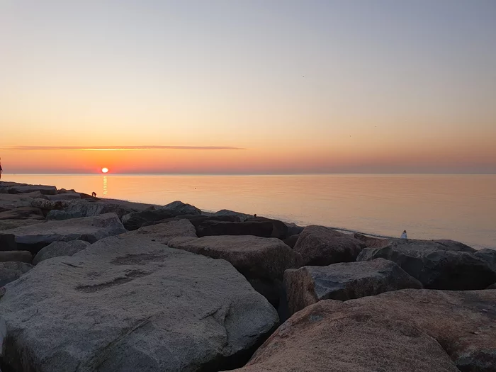 post-65413-17420408707878_thumb.webp