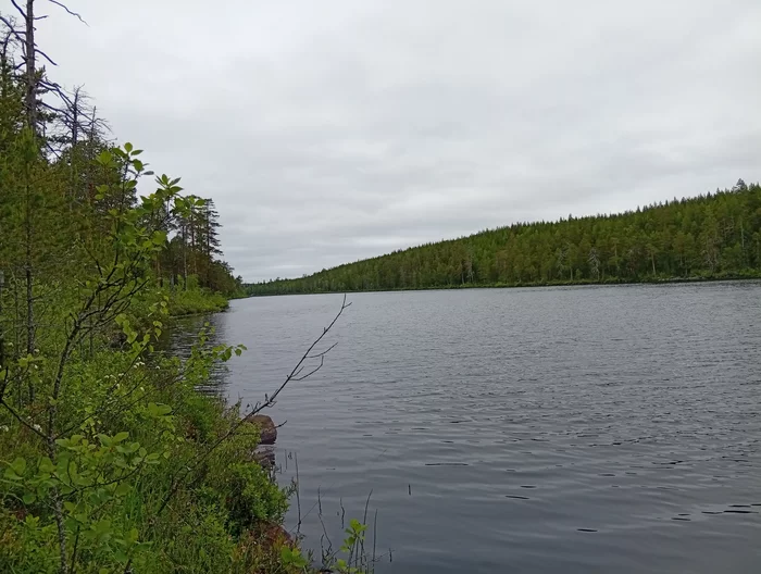 post-3398-17505182516a6e_thumb.webp