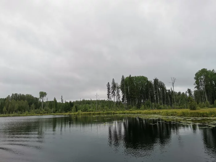 post-92207-1721267010325a_thumb.webp
