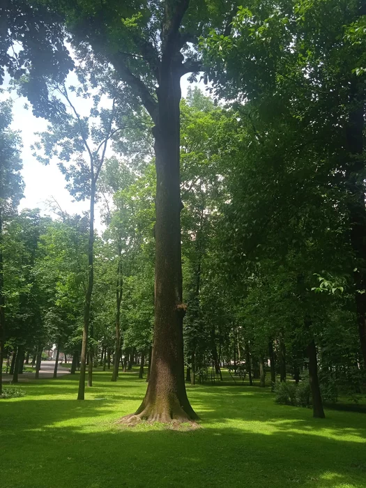 post-40253-17524088768db8_thumb.webp
