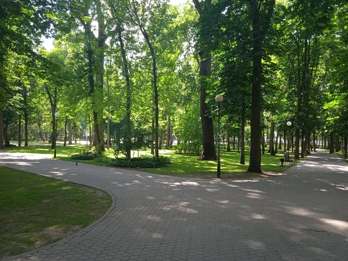 post-40253-1752408965e118_thumb.webp
