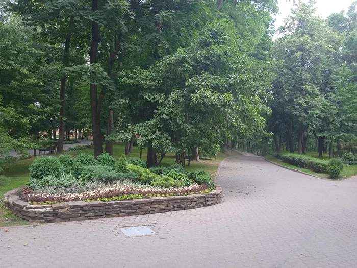 post-40253-1752408974ca3f_thumb.webp