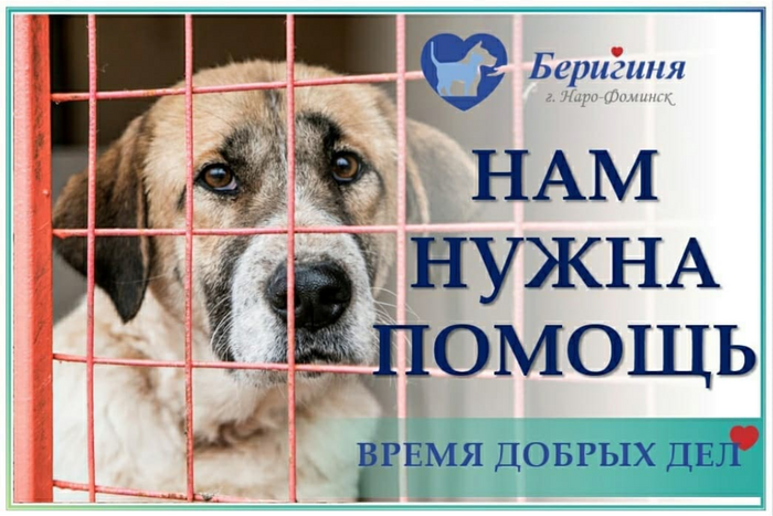 post-94566-1629218630a02_thumb.png