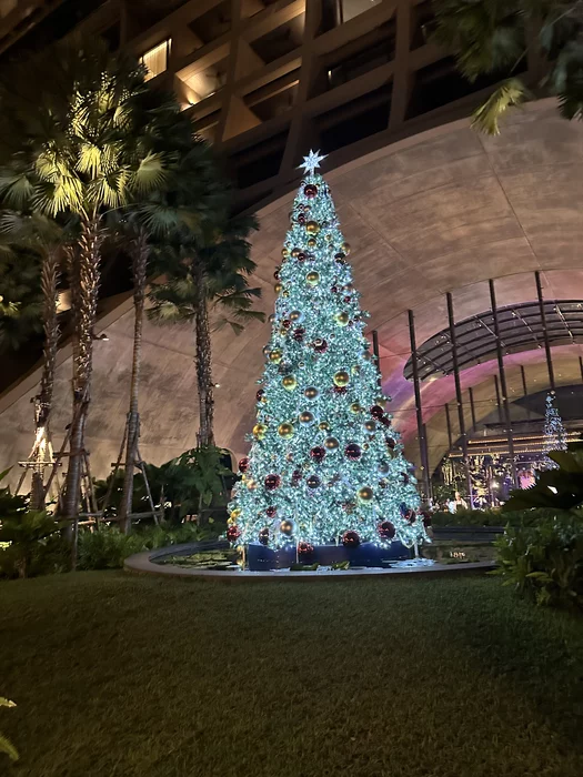 post-149912-17353053541ed5_thumb.webp